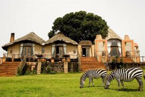 Top Safari Lodges In Africa Africa Unveiled: Nature, Culture, and History Top Safari Lodges In Africa | Africa Unveiled: Nature, Culture, and History