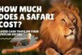 African Safari Cost Africa Unveiled: Nature, Culture, and History African Safari Cost | Africa Unveiled: Nature, Culture, and History