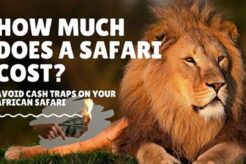 African Safari Cost Africa Unveiled: Nature, Culture, and History African Safari Cost | Africa Unveiled: Nature, Culture, and History