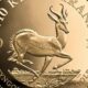 Unveiling the Secrets of the 2019 South Africa 1/10 Gold Krugerrand: Discoveries and Insights | Africa Unveiled: Nature, Culture, and History