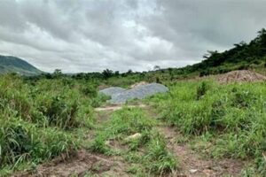 Unveiling Africa's Land for Sale: A Gateway to Investment Discoveries Africa Unveiled: Nature, Culture, and History Unveiling Africa's Land for Sale: A Gateway to Investment Discoveries | Africa Unveiled: Nature, Culture, and History