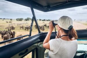 Discover the Secrets: Unveiling the Safety of African Safaris Africa Unveiled: Nature, Culture, and History Discover the Secrets: Unveiling the Safety of African Safaris | Africa Unveiled: Nature, Culture, and History