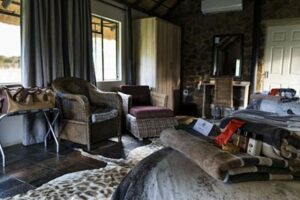 Africa Maximum Safaris Africa Unveiled: Nature, Culture, and History Africa Maximum Safaris | Africa Unveiled: Nature, Culture, and History
