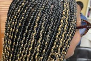 Unlock the Secrets of Abi African Hair Braiding: Embracing Culture, Beauty, and Health Africa Unveiled: Nature, Culture, and History Unlock the Secrets of Abi African Hair Braiding: Embracing Culture, Beauty, and Health | Africa Unveiled: Nature, Culture, and History