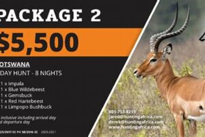 Cheap African Hunting Safari Packages Africa Unveiled: Nature, Culture, and History Cheap African Hunting Safari Packages | Africa Unveiled: Nature, Culture, and History