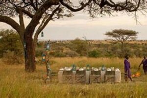 Discover the Ultimate Guide to the Best and Safest Safari in Africa Africa Unveiled: Nature, Culture, and History Discover the Ultimate Guide to the Best and Safest Safari in Africa | Africa Unveiled: Nature, Culture, and History