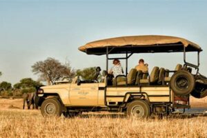 Custom Made Safaris In Africa | Africa Unveiled: Nature, Culture, and History