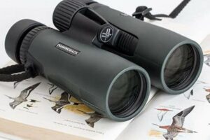 Unveiling the Best Binoculars for African Safaris: Your Guide to Unforgettable Wildlife Encounters Africa Unveiled: Nature, Culture, and History Unveiling the Best Binoculars for African Safaris: Your Guide to Unforgettable Wildlife Encounters | Africa Unveiled: Nature, Culture, and History
