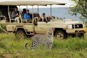 Planning An African Safari Africa Unveiled: Nature, Culture, and History Planning An African Safari | Africa Unveiled: Nature, Culture, and History