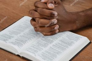 Unlock Hidden Truths: Explore the African American Bible Africa Unveiled: Nature, Culture, and History Unlock Hidden Truths: Explore the African American Bible | Africa Unveiled: Nature, Culture, and History