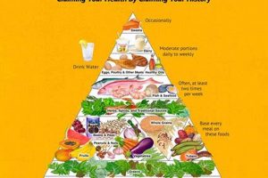 Unlock the Secrets of Healthy Eating with the African Food Pyramid Africa Unveiled: Nature, Culture, and History Unlock the Secrets of Healthy Eating with the African Food Pyramid | Africa Unveiled: Nature, Culture, and History