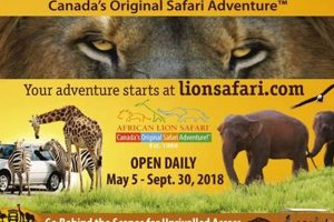 Aaa African Safari Africa Unveiled: Nature, Culture, and History Aaa African Safari | Africa Unveiled: Nature, Culture, and History