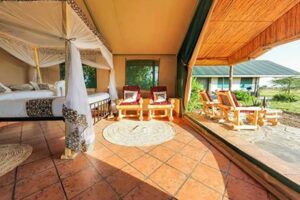 Africa Safari Serengeti Ikoma | Africa Unveiled: Nature, Culture, and History