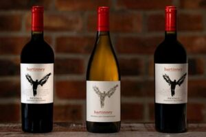 Unveiling the Gems of South African Red Wine: A Journey of Discovery Africa Unveiled: Nature, Culture, and History Unveiling the Gems of South African Red Wine: A Journey of Discovery | Africa Unveiled: Nature, Culture, and History