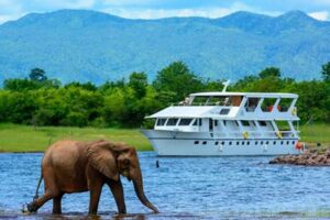 Unveiling Africa's Wonders: Cruises and Safaris Unveiled Africa Unveiled: Nature, Culture, and History Unveiling Africa's Wonders: Cruises and Safaris Unveiled | Africa Unveiled: Nature, Culture, and History