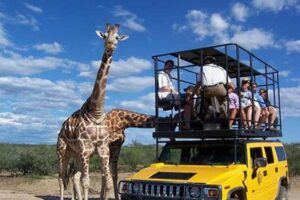 Discover the Heart of Africa in the Sonoran Desert: Unveiling African Safari Arizona | Africa Unveiled: Nature, Culture, and History