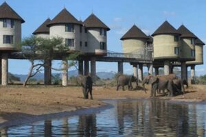African Safari Mombasa | Africa Unveiled: Nature, Culture, and History