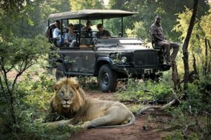 Unveiling the Secrets of the African Safari: A Guide to Unforgettable Encounters Africa Unveiled: Nature, Culture, and History Unveiling the Secrets of the African Safari: A Guide to Unforgettable Encounters | Africa Unveiled: Nature, Culture, and History