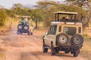 Unleash the Wild: Discoveries Await in the Heart of Africa Africa Unveiled: Nature, Culture, and History Unleash the Wild: Discoveries Await in the Heart of Africa | Africa Unveiled: Nature, Culture, and History