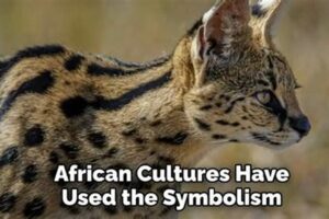 Uncover the Enchanting World of African Safari Tattoo Sleeves Africa Unveiled: Nature, Culture, and History Uncover the Enchanting World of African Safari Tattoo Sleeves | Africa Unveiled: Nature, Culture, and History