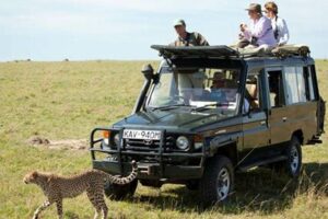 African Safari Vehicles | Africa Unveiled: Nature, Culture, and History