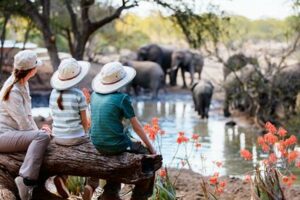 African Safaris For Families Africa Unveiled: Nature, Culture, and History African Safaris For Families | Africa Unveiled: Nature, Culture, and History