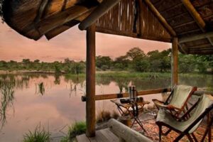 Discover Tanda Tula South Africa: Unveil the Secrets of the African Wilderness | Africa Unveiled: Nature, Culture, and History