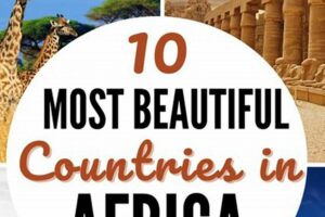 Best African Countries For Safari Africa Unveiled: Nature, Culture, and History Best African Countries For Safari | Africa Unveiled: Nature, Culture, and History
