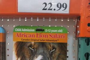 Costco African Safari Africa Unveiled: Nature, Culture, and History Costco African Safari | Africa Unveiled: Nature, Culture, and History