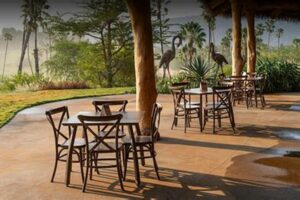 African Restaurant San Diego Africa Unveiled: Nature, Culture, and History African Restaurant San Diego | Africa Unveiled: Nature, Culture, and History