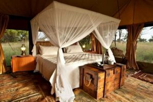 African Safari Tent Africa Unveiled: Nature, Culture, and History African Safari Tent | Africa Unveiled: Nature, Culture, and History