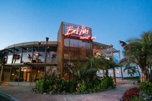 African Restaurant San Diego Ca Africa Unveiled: Nature, Culture, and History African Restaurant San Diego Ca | Africa Unveiled: Nature, Culture, and History