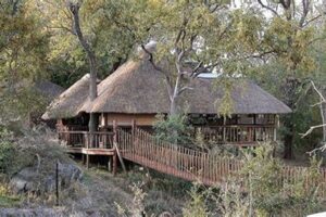 Unveiling idube south africa: A Gateway to Economic Prosperity | Africa Unveiled: Nature, Culture, and History