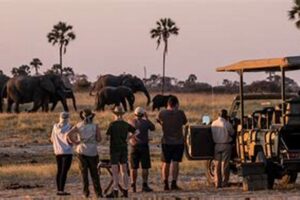 African Safari Itinerary Africa Unveiled: Nature, Culture, and History African Safari Itinerary | Africa Unveiled: Nature, Culture, and History