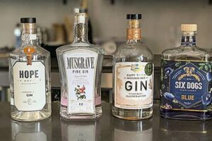 Unveiling the Delights of South African Gin: A Journey of Discovery and Delight Africa Unveiled: Nature, Culture, and History Unveiling the Delights of South African Gin: A Journey of Discovery and Delight | Africa Unveiled: Nature, Culture, and History