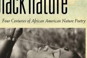 Unveiling the Heart of Black Nature: A Poetic Journey Through Four Centuries Africa Unveiled: Nature, Culture, and History Unveiling the Heart of Black Nature: A Poetic Journey Through Four Centuries | Africa Unveiled: Nature, Culture, and History