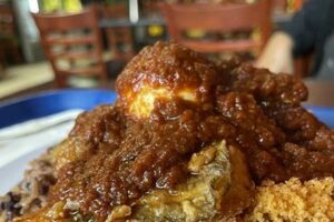 African Restaurant In Silver Spring Africa Unveiled: Nature, Culture, and History African Restaurant In Silver Spring | Africa Unveiled: Nature, Culture, and History