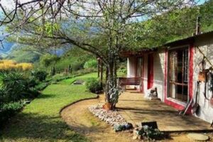 Uncover the Hidden Gems of De Rust, Western Cape South Africa | Africa Unveiled: Nature, Culture, and History