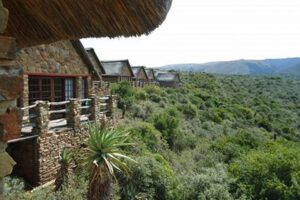 Unveiling the Secrets of Frontier Safaris South Africa: Discover the Untamed Wilderness Africa Unveiled: Nature, Culture, and History Unveiling the Secrets of Frontier Safaris South Africa: Discover the Untamed Wilderness | Africa Unveiled: Nature, Culture, and History