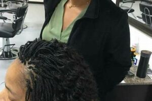 Unlock the Beauty and Essence of Amina African Hair Braiding | Africa Unveiled: Nature, Culture, and History