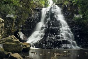 Discover the Enchanting Allure of Hogsback Eastern Cape | Africa Unveiled: Nature, Culture, and History