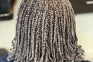 Uncover the Allure of Fadil African Hair Braiding: Discoveries and Insights Await! | Africa Unveiled: Nature, Culture, and History