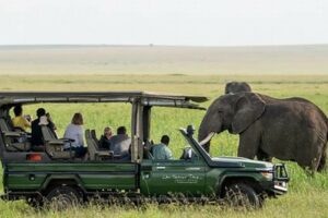 Uncover the Secrets of African Safari Costs: Your Ultimate Guide to Budgeting and Beyond | Africa Unveiled: Nature, Culture, and History