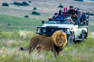 Discover the Wonders of African Safaris Designed for Families Africa Unveiled: Nature, Culture, and History Discover the Wonders of African Safaris Designed for Families | Africa Unveiled: Nature, Culture, and History