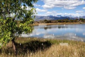 Uncover the Enchanting Secrets of Noble Hill South Africa Africa Unveiled: Nature, Culture, and History Uncover the Enchanting Secrets of Noble Hill South Africa | Africa Unveiled: Nature, Culture, and History