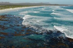 Unveiling Pearly Beach: A South African Gem Waiting to be Explored | Africa Unveiled: Nature, Culture, and History