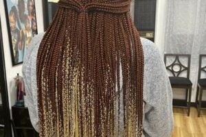 Discover the Enchanting World of Mame African Hair Braiding | Africa Unveiled: Nature, Culture, and History