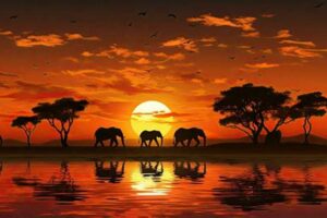 African Sunset Safari Africa Unveiled: Nature, Culture, and History African Sunset Safari | Africa Unveiled: Nature, Culture, and History