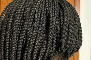 Unveiling the Enchanting World of African Hair Braiding: Discoveries and Insights Africa Unveiled: Nature, Culture, and History Unveiling the Enchanting World of African Hair Braiding: Discoveries and Insights | Africa Unveiled: Nature, Culture, and History