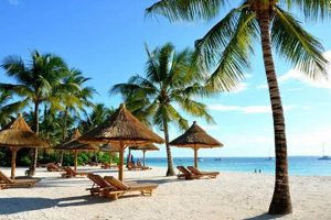 Discover the Untamed and Unforgettable: Your African Safari and Beach Odyssey Awaits Africa Unveiled: Nature, Culture, and History Discover the Untamed and Unforgettable: Your African Safari and Beach Odyssey Awaits | Africa Unveiled: Nature, Culture, and History